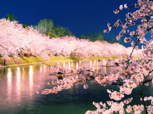 さくら、桜、サクラ！　圧倒的に美しい桜の絶景の記事画像