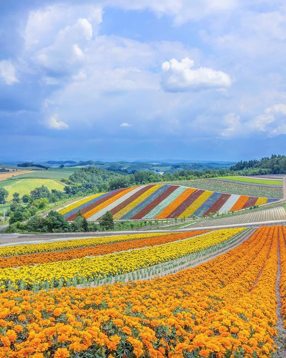 bubo3329さんの投稿写真