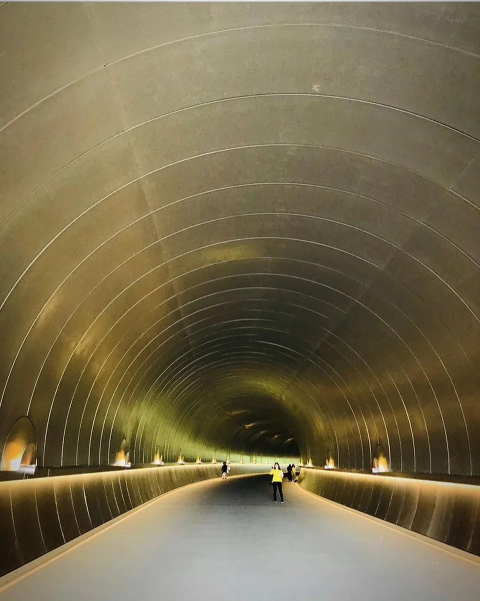 ramie_photoさんの投稿写真