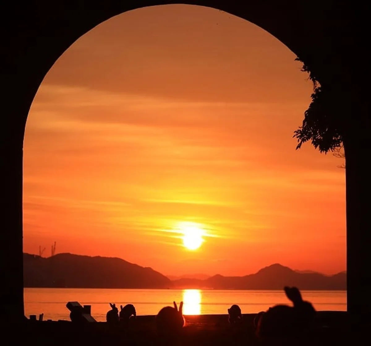 yamachan5555555さんの投稿写真