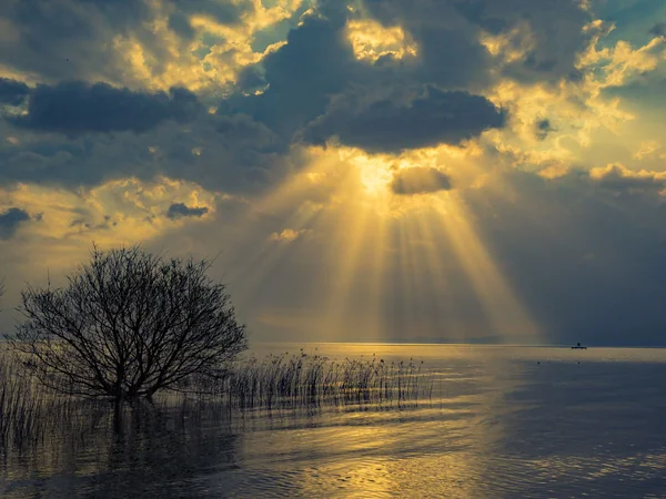 神々しい光が差し込む幻想的な絶景に包まれたいの記事画像