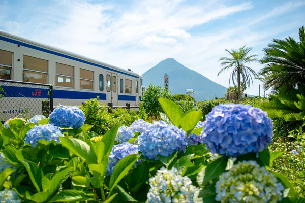 美しく染まる四片を愛でる！可愛らしく咲き広がる紫陽花の絶景5選の記事画像
