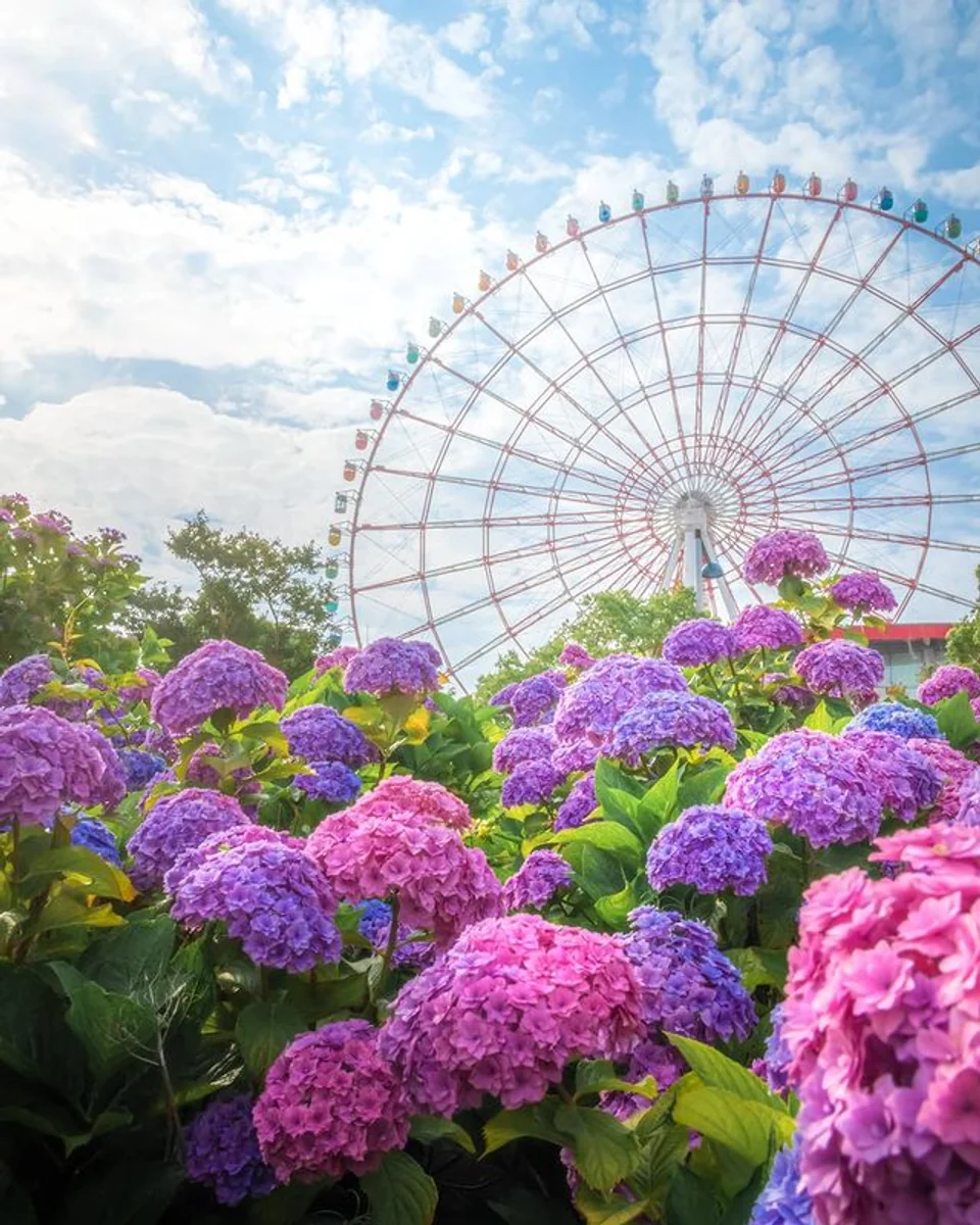 ko_uskeさんの投稿写真