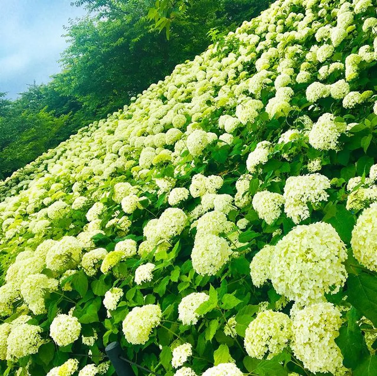 tabi.kirokuさんの投稿写真