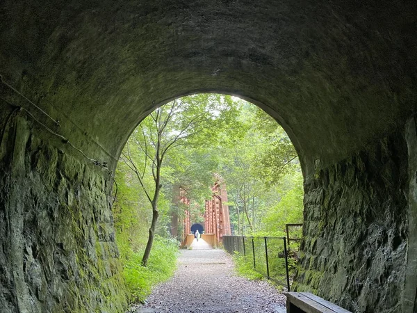 異世界へ通じる道？トンネル・アーチの先の絶景の記事画像