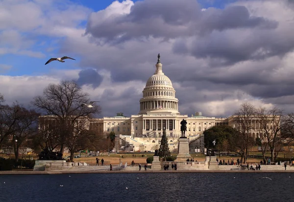 華麗なるタマネギの記事画像