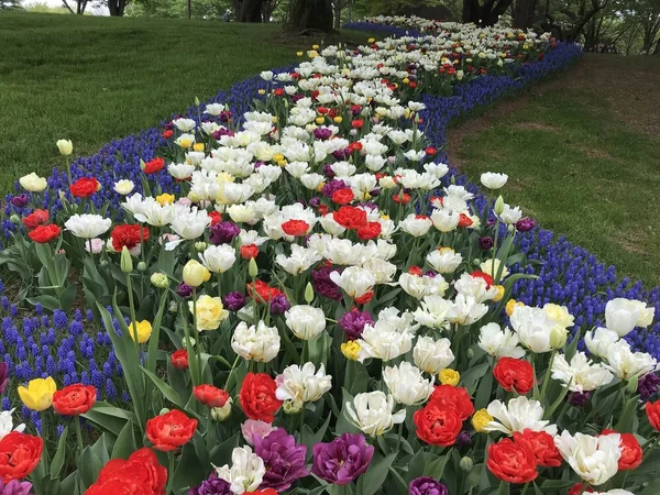 花園へようこそ♪　心弾む季節の訪れの記事画像