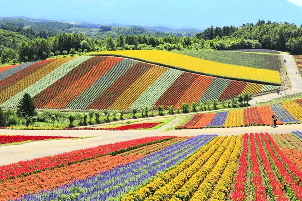 6月に行きたい！　初夏を感じるお出かけスポット♪の記事画像