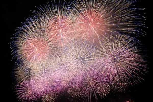 夜空に咲く大輪の花!!　夏休みの思い出を締めくくる大花火の記事画像