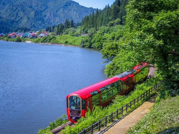 列車と自然が織りなす絶景の記事画像