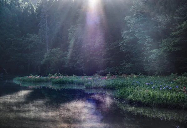 思わず吸い込まれそうな霧の絶景の記事画像