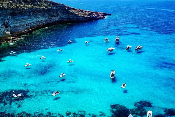 透明度が高すぎて隠れられない魚が困るかも…？　透き通る海4選の記事画像