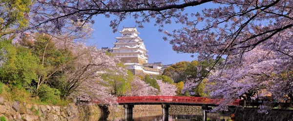 華やかなお城巡りで、芸術とロマンにふれよう♫の記事画像