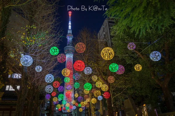 冬の夜はカラフル☆の記事画像