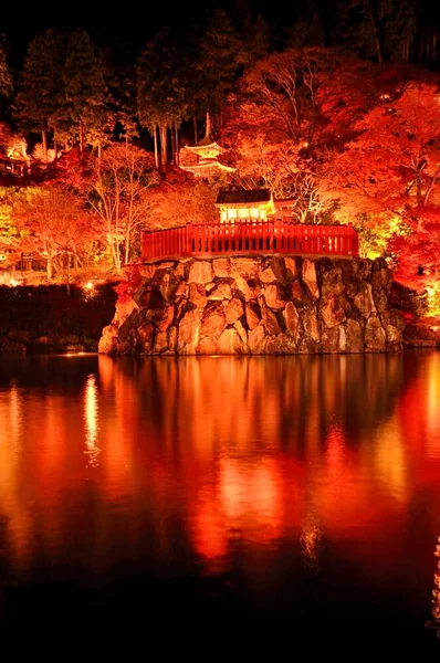 日本の美・『和』のライトアップの記事画像