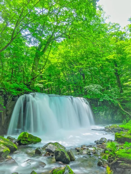 エメラルドの季節の記事画像