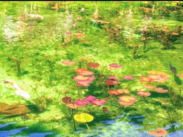 モネに見せたい、優雅に咲く蓮華の記事画像