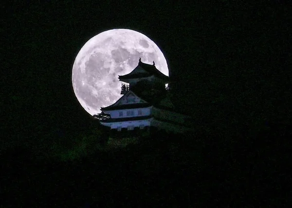 光あるところに影がある！？美しいシルエットの世界の記事画像