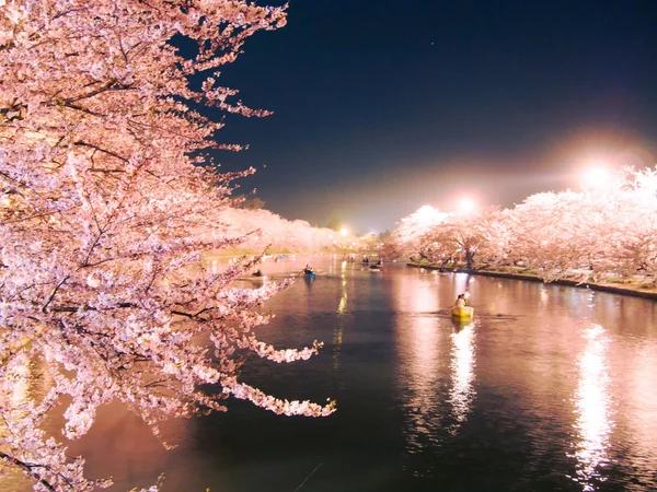 桜特集・第2弾！　夜桜5選の記事画像