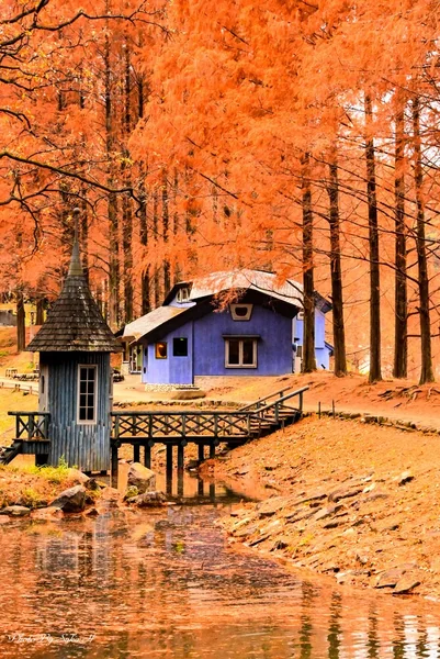 秋は何色～？赤、黄色の世界への記事画像