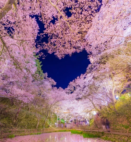 幸せになれそう♪ハートスポットの絶景の記事画像