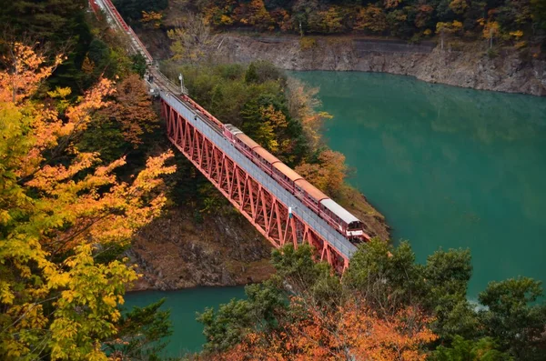 せっかくだから目を向けてほしい、車窓の四季の記事画像
