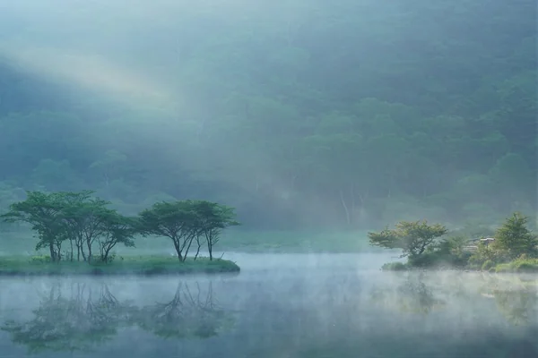 霧の絶景。水と空気の奇跡の瞬間を捉えるの記事画像