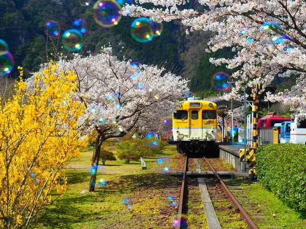 春の電車の風景の記事画像