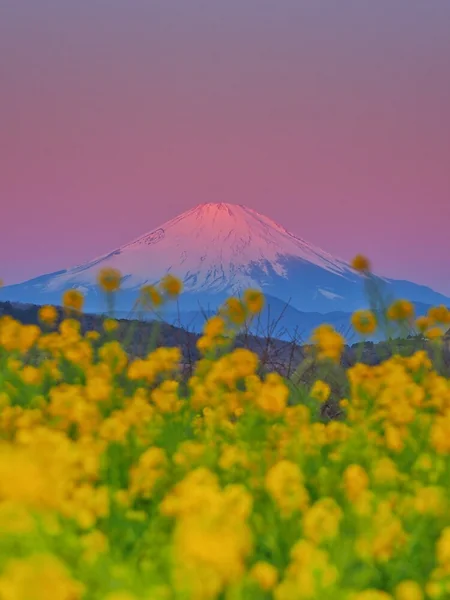 グラデーションに彩られる、夜明けの絶景特集！の記事画像