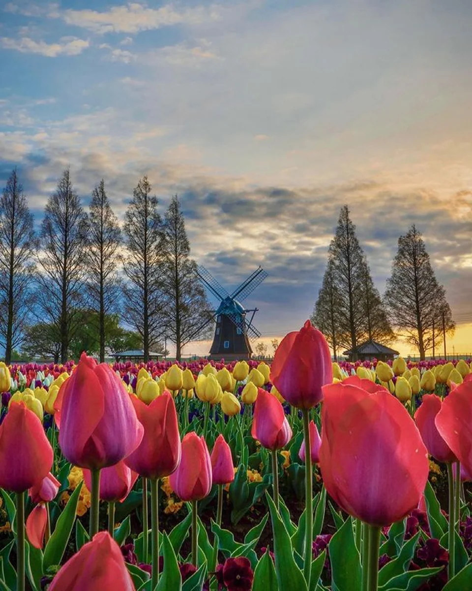 __.que._.sera._.sera.__さんの投稿写真