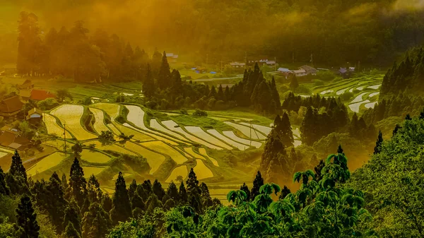 魅力あふれる棚田の風景の記事画像