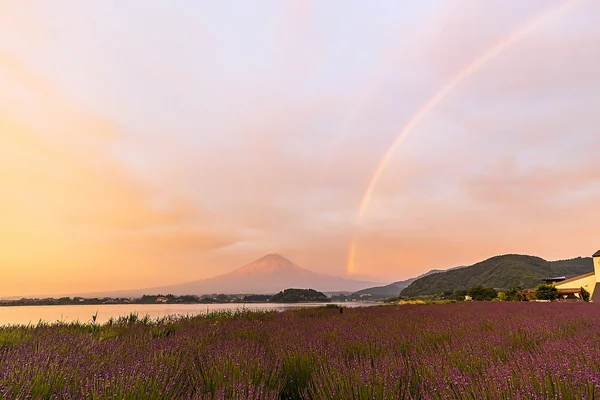 幸運の予兆？　無限の色を見せる虹の不思議なエネルギーの記事画像