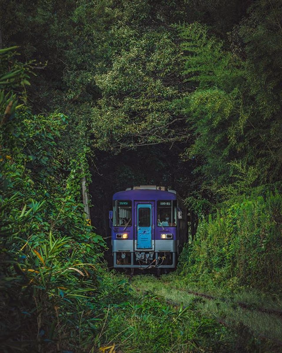 yan_photo41さんの投稿写真