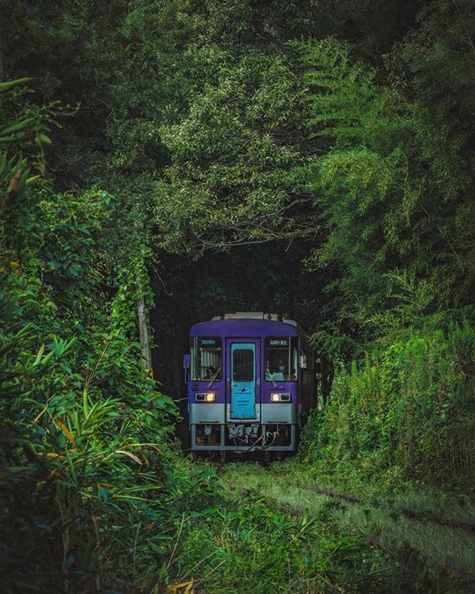 yan_photo41さんの投稿写真