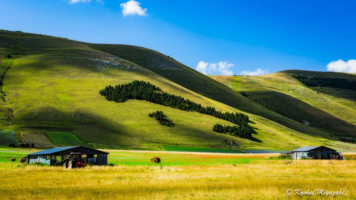 pespieroさんの投稿写真