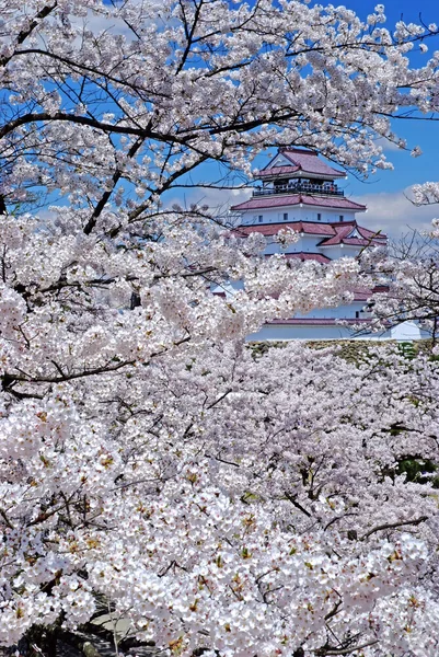 お城と桜の絶景メイン画像