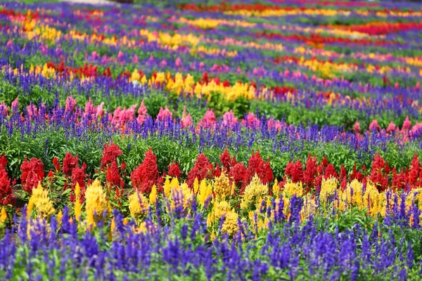 昨年11月投稿の絶景写真ランキング上位をご紹介♪の記事画像