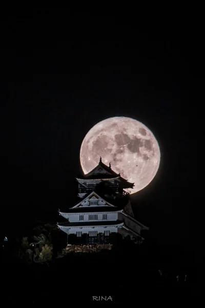 日本の城の風雅な絶景の記事画像