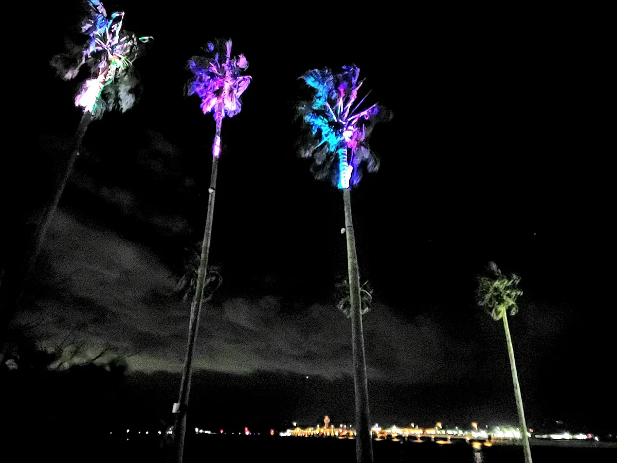 投稿写真：イルミネーション