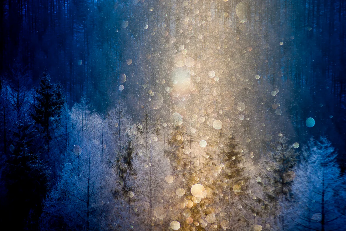 投稿写真：ダイヤモンドダスト