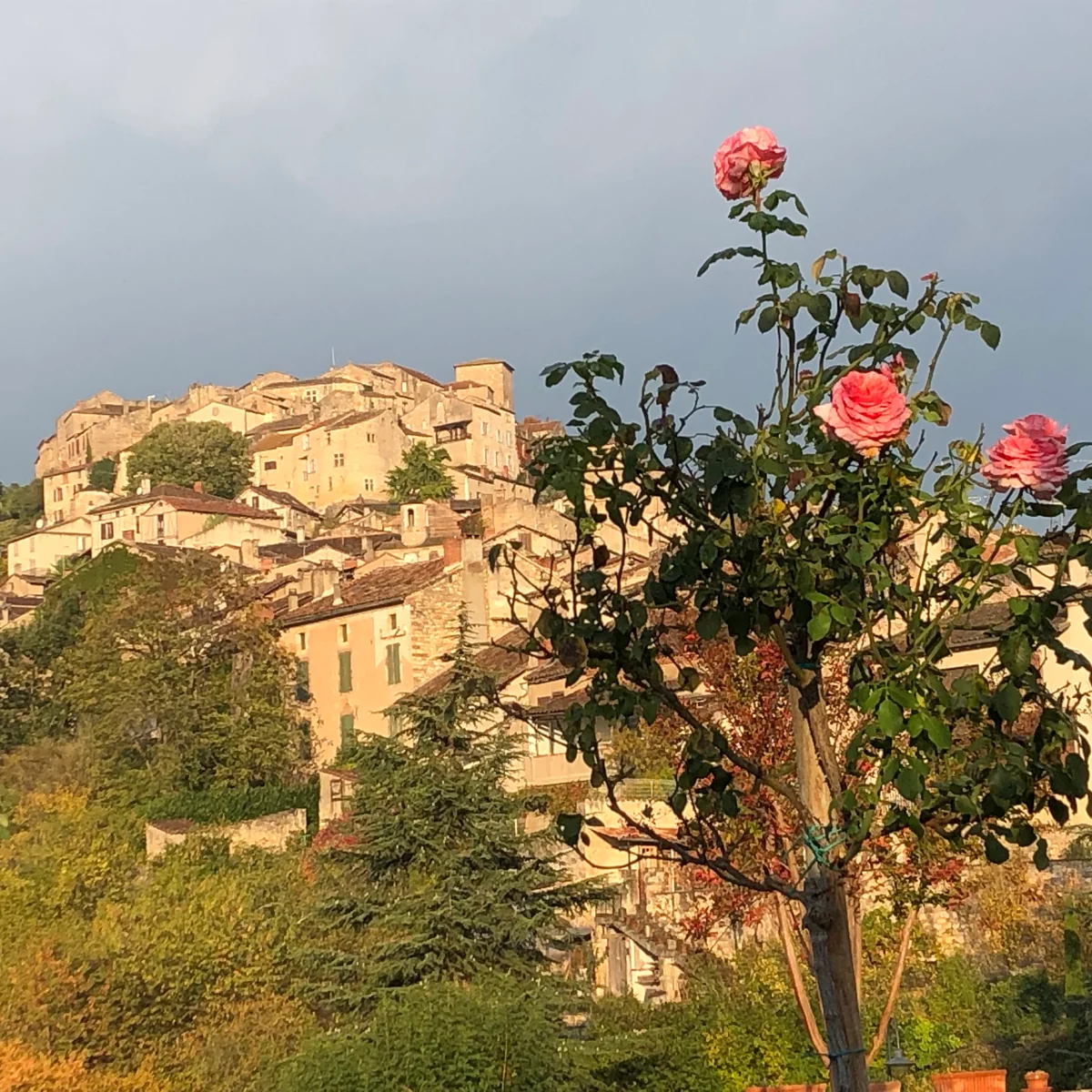 投稿写真：薔薇とコルド＝シュル＝シエル