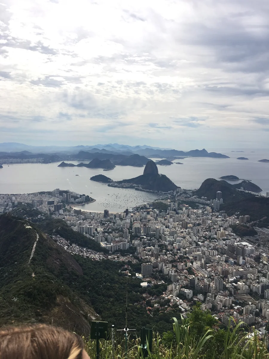 投稿写真：コルコバードの丘からの景色