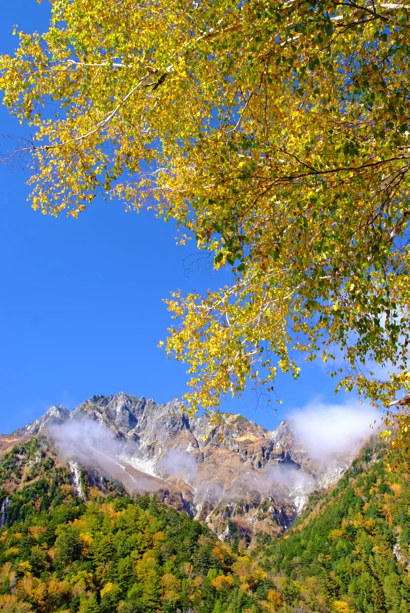投稿写真：秋、明神・穂高