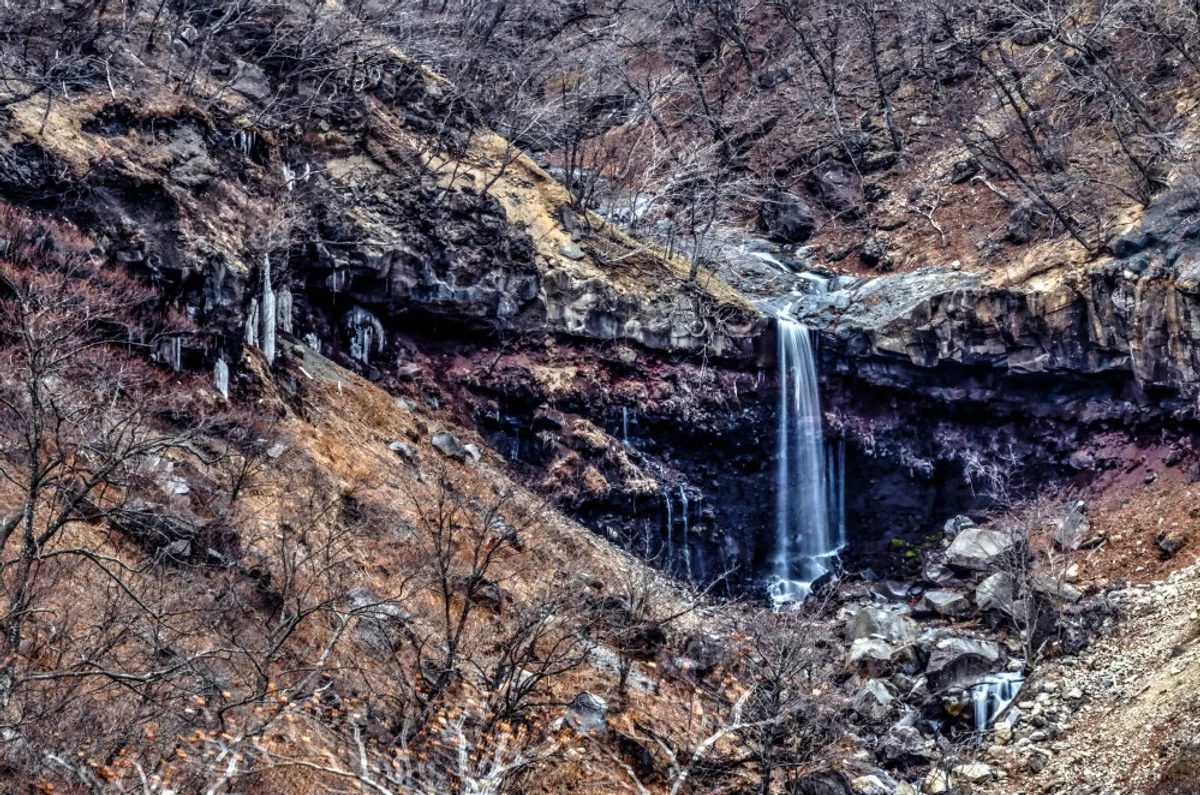 投稿写真：冬枯れの滝
