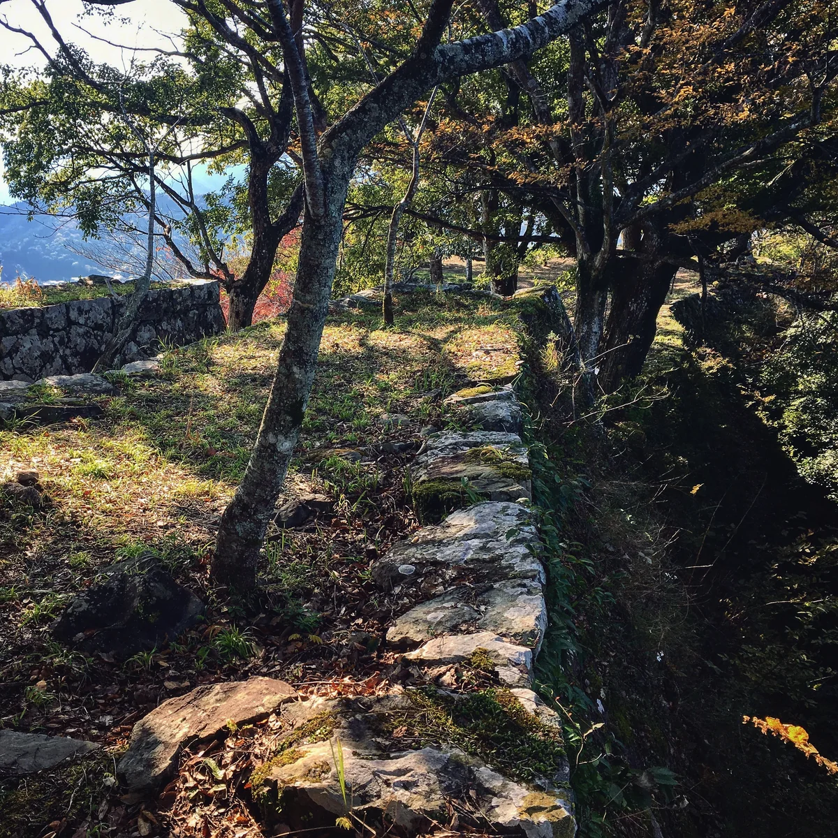 投稿写真：佐伯城