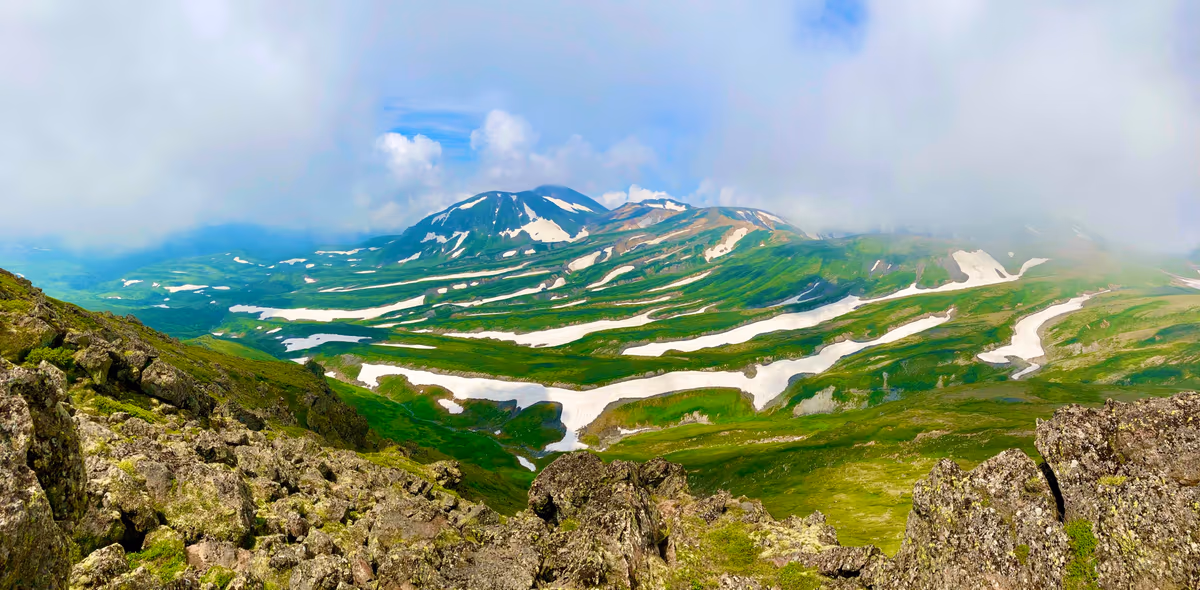 投稿写真：ゼブラ雪景