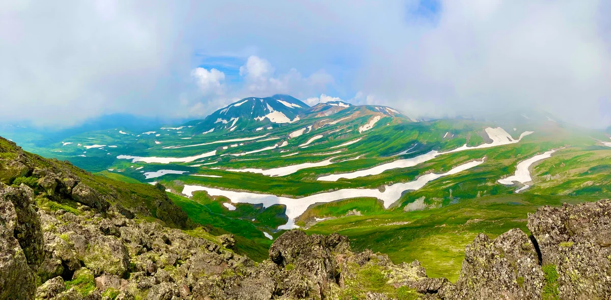 投稿写真：ゼブラ雪景