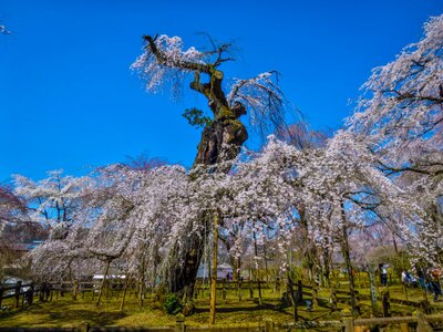  | 絶景事典