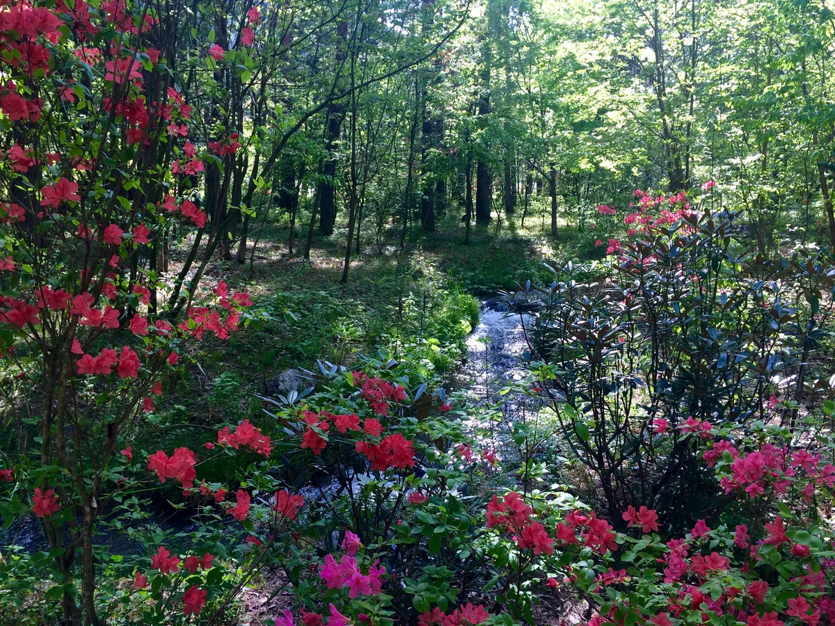 投稿写真：安曇野