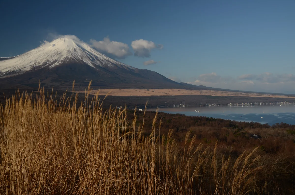 投稿写真：冬の枯野の向こうの富士